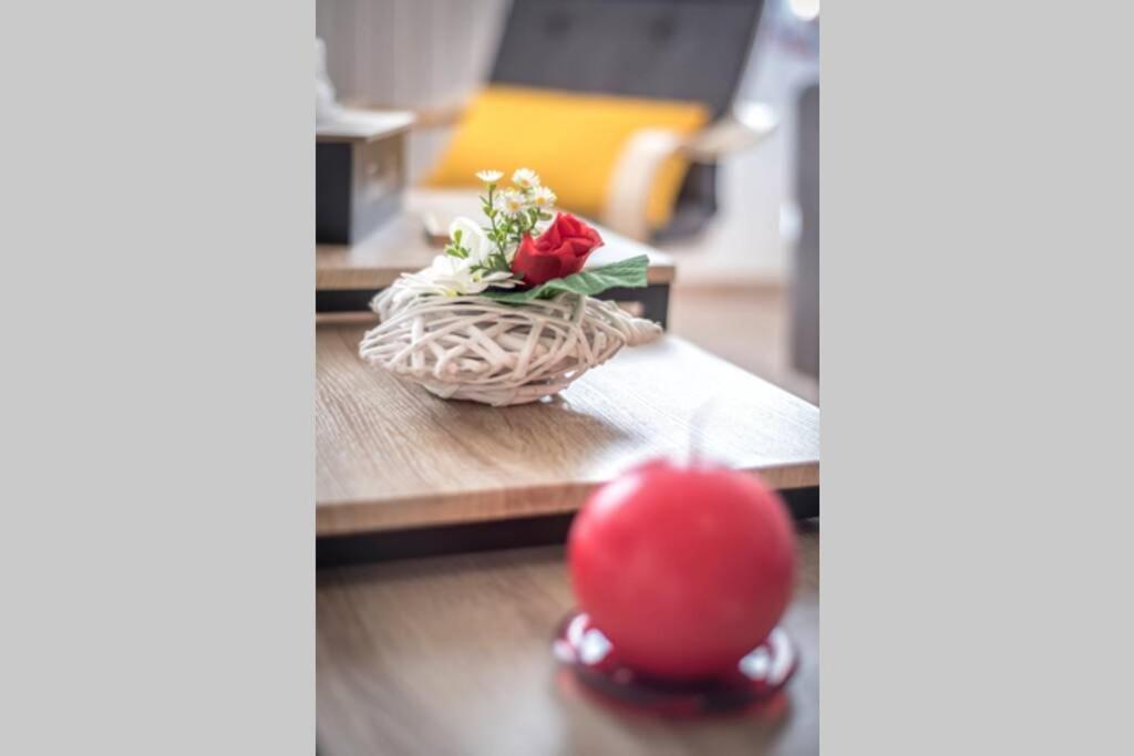 "Le Cocon" 4 Pers - Confortable - So Cozy Montauban Dış mekan fotoğraf